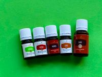 Young Living Clove+ Nelke Nutmeg+ Muskanuss Coriander+ Koriander Niedersachsen - Wingst Vorschau