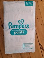 Pampers Premium Protection Pants Gr. 6 - 66 Stück Pankow - Weissensee Vorschau