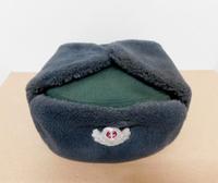 SUCHE Wintermütze DDR Forst Uschanka Schapka 57/58 Sachsen - Tharandt Vorschau