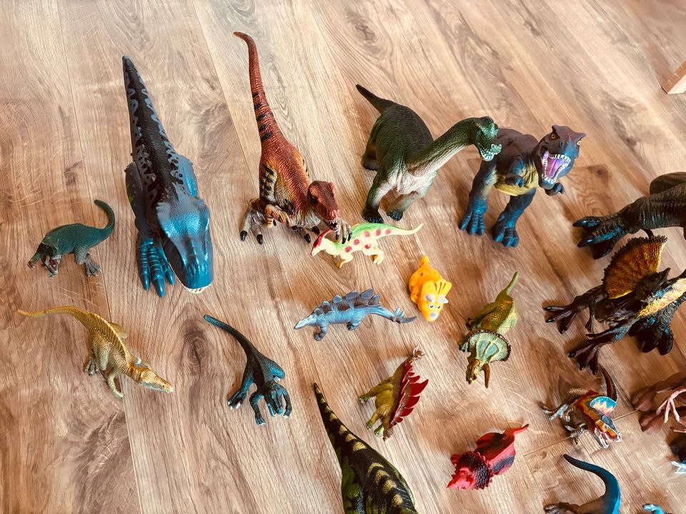 Dinosaurier Sammlung in Brüggen