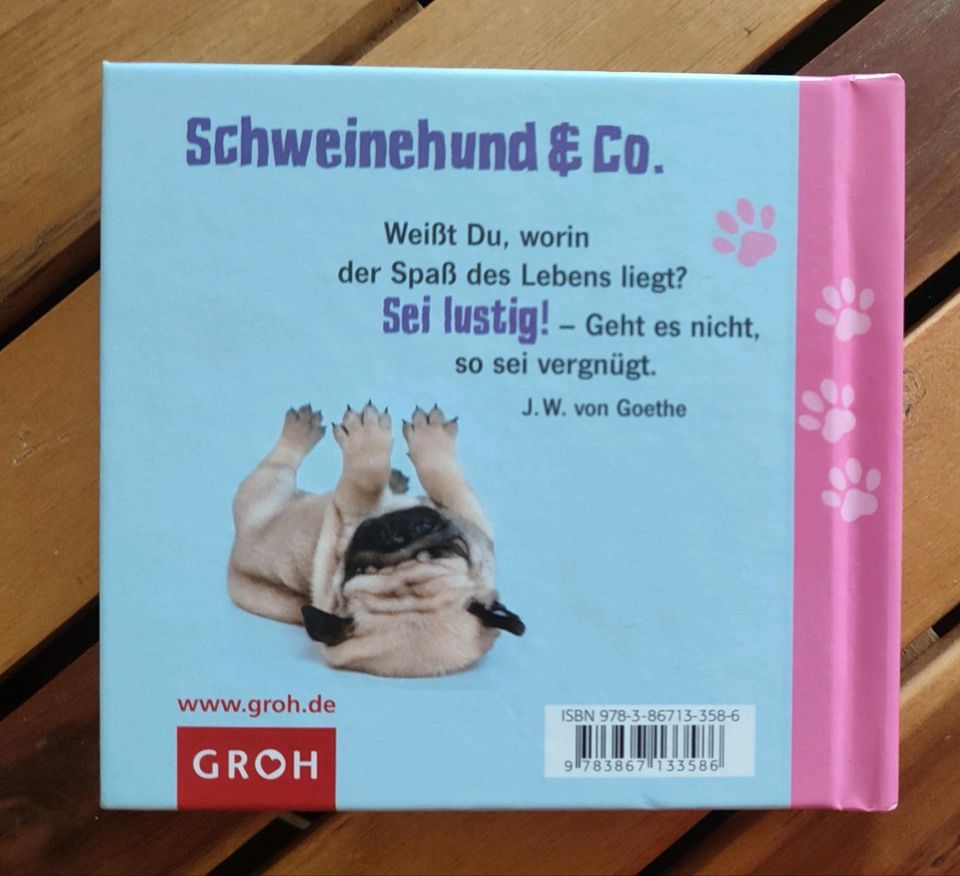 Buch Hund Mops "LEBE LIEBER MOPSFIDEL" Groh Verlag **NEU** in Dresden