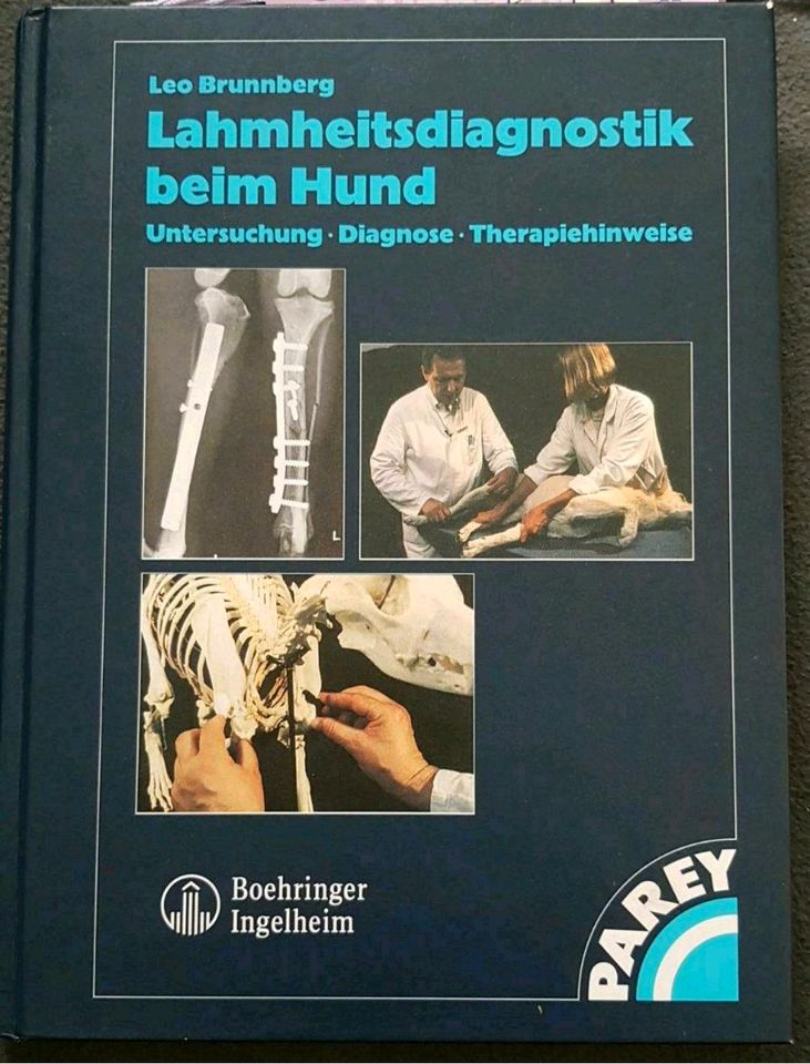 Lahmheitsdiagnostik beim Hund Brunnberg Tierphysiotherapie in Windhausen