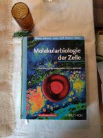 Molekularbiologie der Zelle 4. Auflage Bayern - Gröbenzell Vorschau