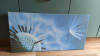 Keilrahmen Bild Pusteblume blau 100 x 50 cm Nordrhein-Westfalen - Iserlohn Vorschau