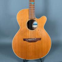 Takamine ESF 40 C Santa Fe made in Japan Tonabnehmer Case Koffer Nordrhein-Westfalen - Herne Vorschau