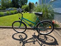 Fahrrad grün Hessen - Riedstadt Vorschau