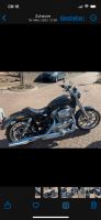 Harley-Davidson Sportster 883 Superlow Nordrhein-Westfalen - Wettringen Vorschau