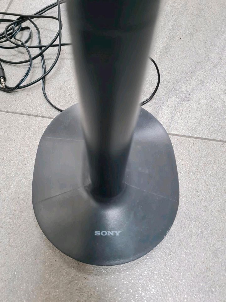 Sony Wireless Kopfhörer in Rieden