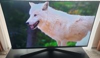 Samsung 48 Zoll Fernseher Smart TV, Full HD ✳️Neuwertig✅ Hessen - Weilmünster Vorschau