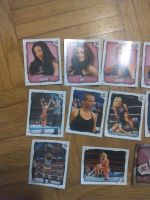9 WWE Wrestling Icons Diven Sticker: Maryse, Melina, Eve, Michell Baden-Württemberg - Sinsheim Vorschau