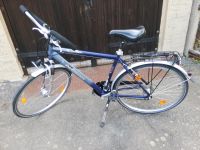 Trekking-Bike, Fahrrad, 28 Zoll Sachsen - Döbeln Vorschau