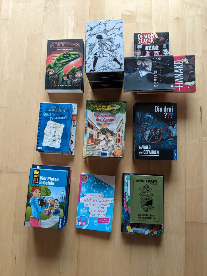 Diverse Bücher / Mangas in Röttenbach (bei Erlangen)