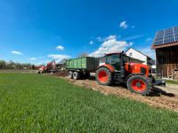 Gartenarbeit, Gartenpflege, Pflasterarbeit, Baggerarbeit Bayern - Landau a d Isar Vorschau