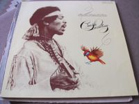 LP Vinyl Schallplatte Jimi Hendrix " Crash Landing " 1975 Häfen - Bremerhaven Vorschau