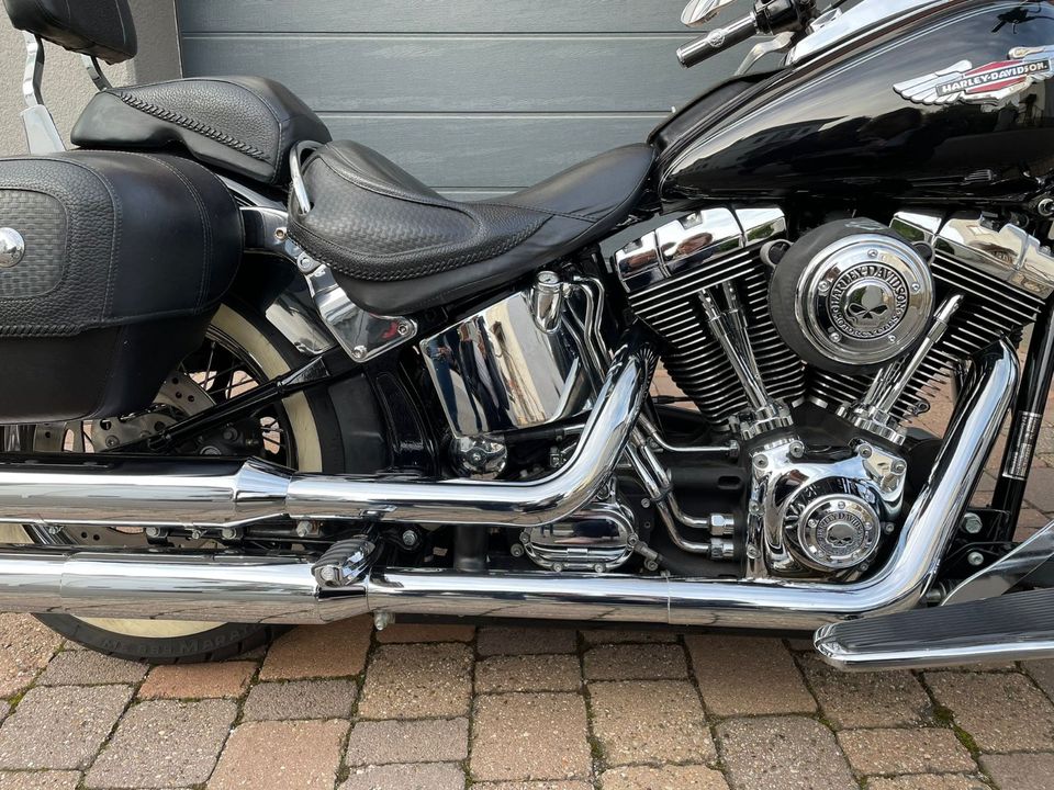 Harley Davidson Softail Deluxe in Neustadt an der Weinstraße