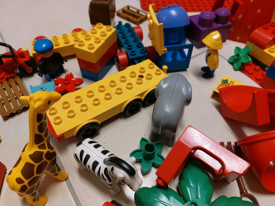 Grosses Lego Duplo Set ca. 350 Teile in Bischweier