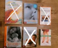 Diverse Bücher *Schwangerschaft*Baby*Stillen*Frühchen*Hausgeburt Schleswig-Holstein - Glückstadt Vorschau