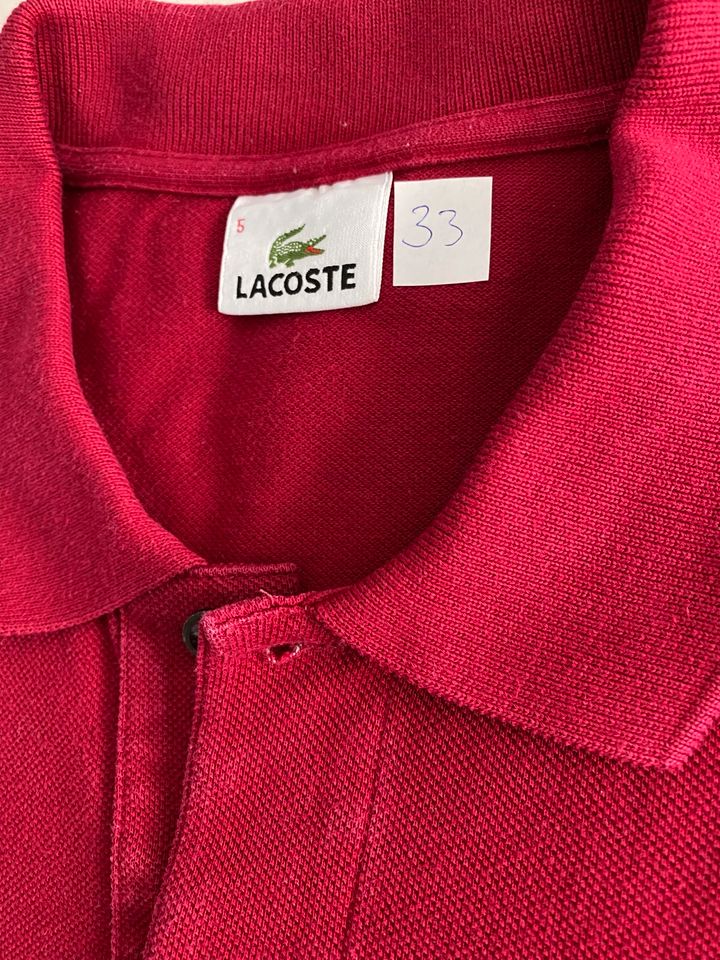 Lacoste Langarm Poloshirt einige vorhanden Neuwertig in Heusenstamm