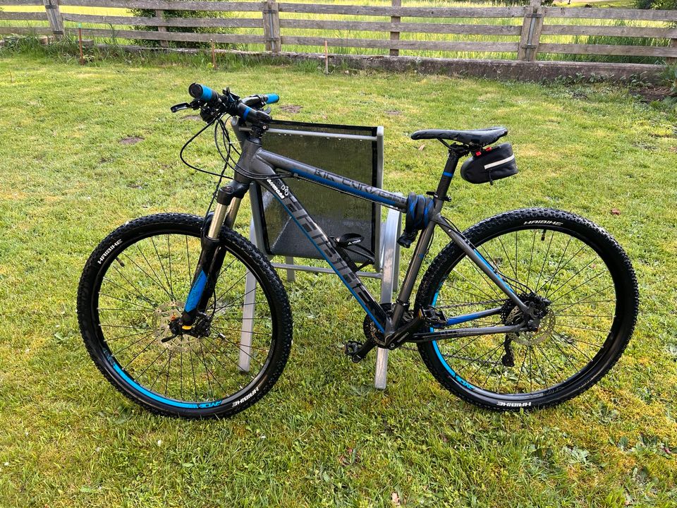 Haibike Big Curve 9.50 29 Zoll Mountainbike in Oberviechtach