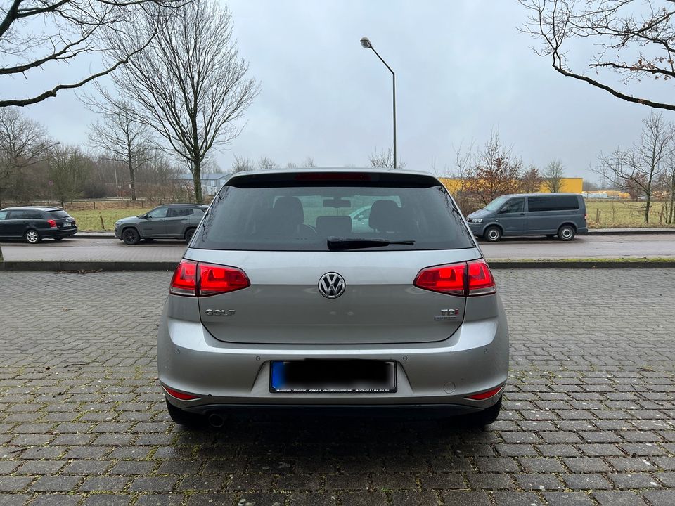 Volkswagen VW Golf VII 7 in Flensburg