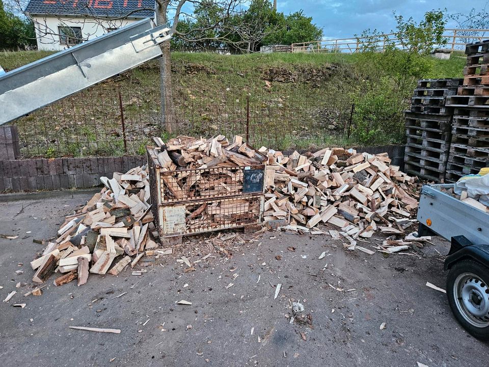 Brennholz, Kaminholz in Weimar