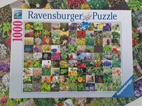 1000Teile Puzzle von Ravensburger Niedersachsen - Braunschweig Vorschau