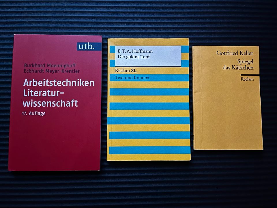 Diverse Germanistik-Bücher (Erzähltheorie und mehr) in Oldenburg