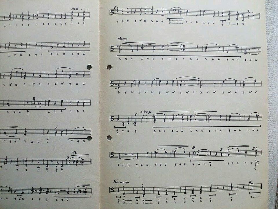 Noten für diatonische Handharmonika, Titel siehe unten in Filderstadt