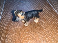 Schleich • Schäferhund Welpe 16343 • unbespielt Nordrhein-Westfalen - Bergisch Gladbach Vorschau