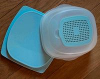 ✅Original TUPPERWARE Käseglocke/Behälter Sachsen - Schwarzenberg (Erzgebirge) Vorschau