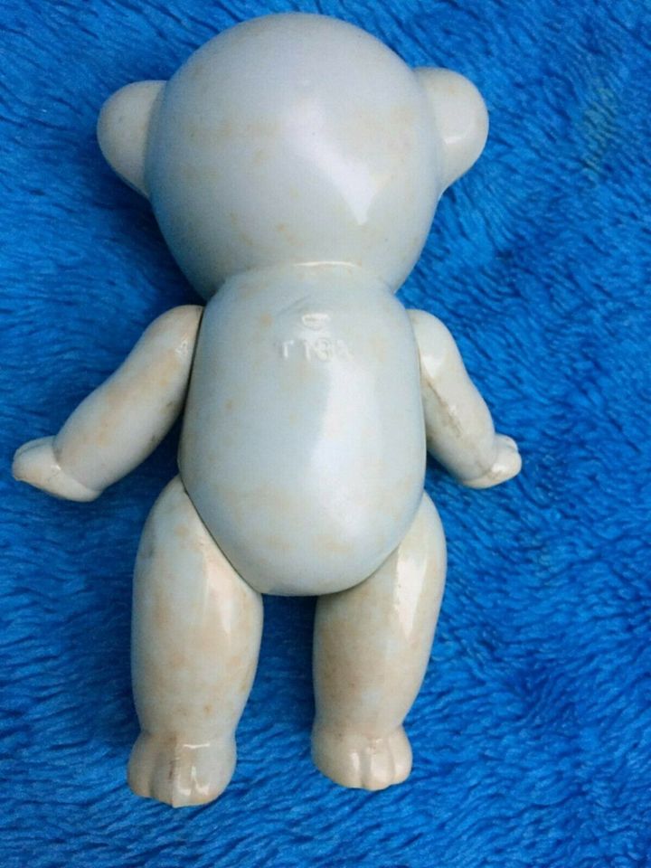 Antike Kinder Baby Rassel-Celluloid Bär Teddy-Schildkröt-T 13½ in Schenefeld