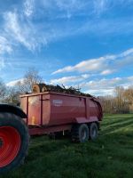 Eichenholz Niedersachsen - Westoverledingen Vorschau