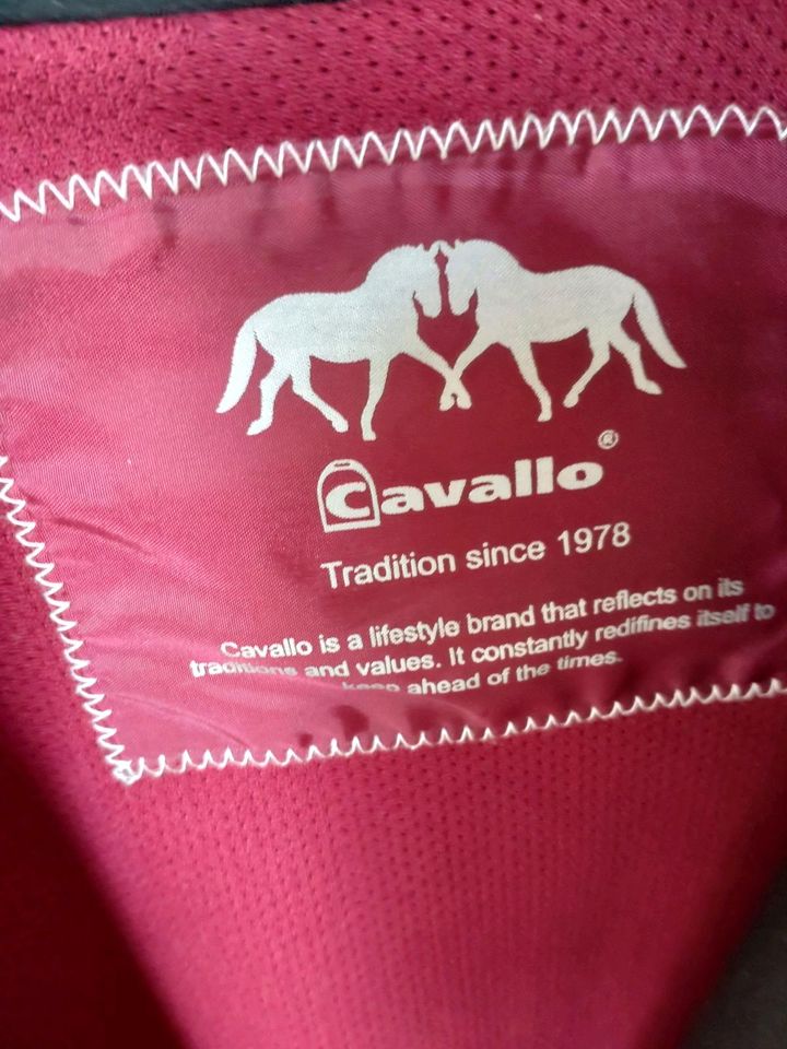 Cavallo Turnierjacket Gr 80 in Stockelsdorf