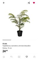 SUCHE (!) diese künstliche Ikea FEJKA Palme Topfpflanze Niedersachsen - Lingen (Ems) Vorschau