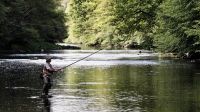 Fischereirecht zu verkaufen/verpachten - LK Sigmaringen/Biberach Baden-Württemberg - Nehren Vorschau