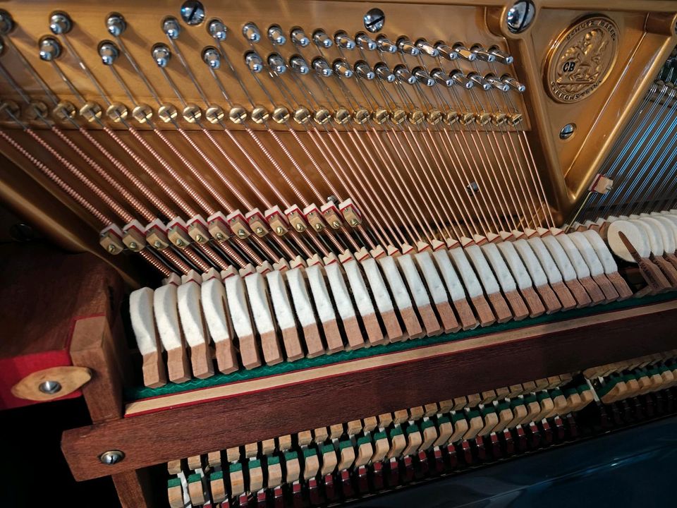 Erstklassiges Bechstein Klavier, top Zustand in Dresden