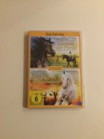 DVD Die Insel der Pferde & Tornado und der Pferdeflüsterer Filme Münster (Westfalen) - Mauritz Vorschau