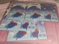 8 Frozen Anna und Elsa Schachteln Geschenk Verpackung Sachsen - Ottendorf-Okrilla Vorschau