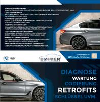 Bmw Aktivlenkung e60 e90 Lenkung Service Diagnose ELV e61 e91 F30 Bayern - Luhe-Wildenau Vorschau