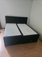 Boxspringbett Nordrhein-Westfalen - Bergheim Vorschau