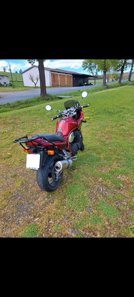 Suzuki Bandit S1200 in Niederaula