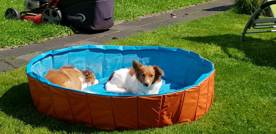 Hunndebecken Schwimmbad in Dormagen