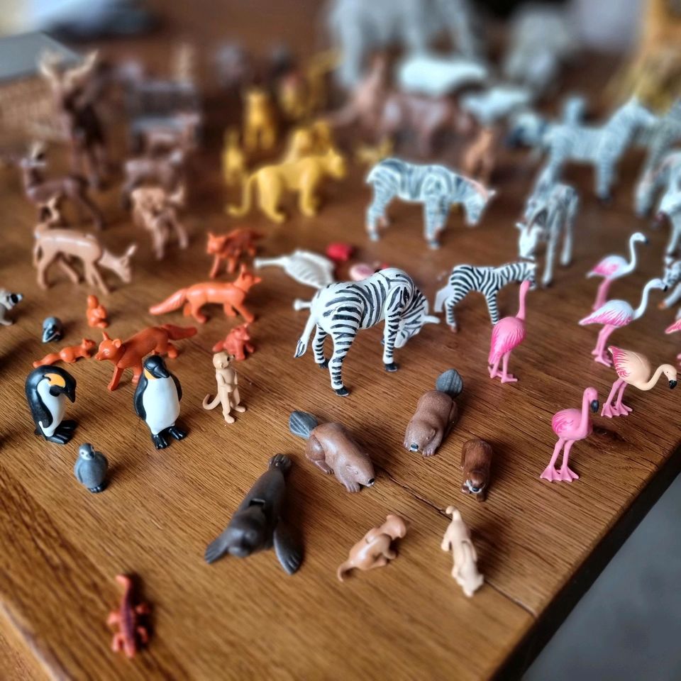 Playmobil Wildlife Wildtiere Set * Kindersecondhand DURANAND in Ronsberg