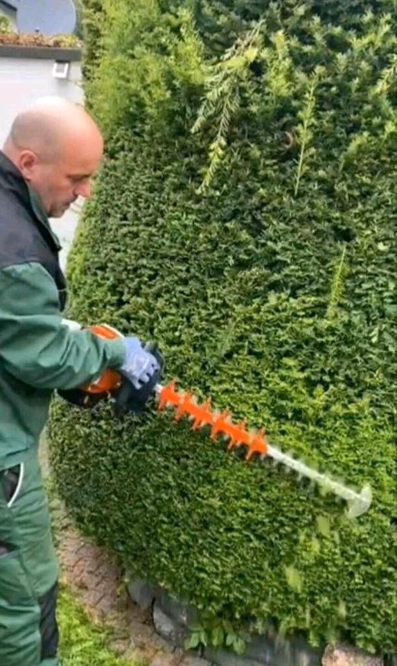 Heckenschnitt Hecke schneiden Heckenfeinbeschnitt Strauchschnitt in Iserlohn