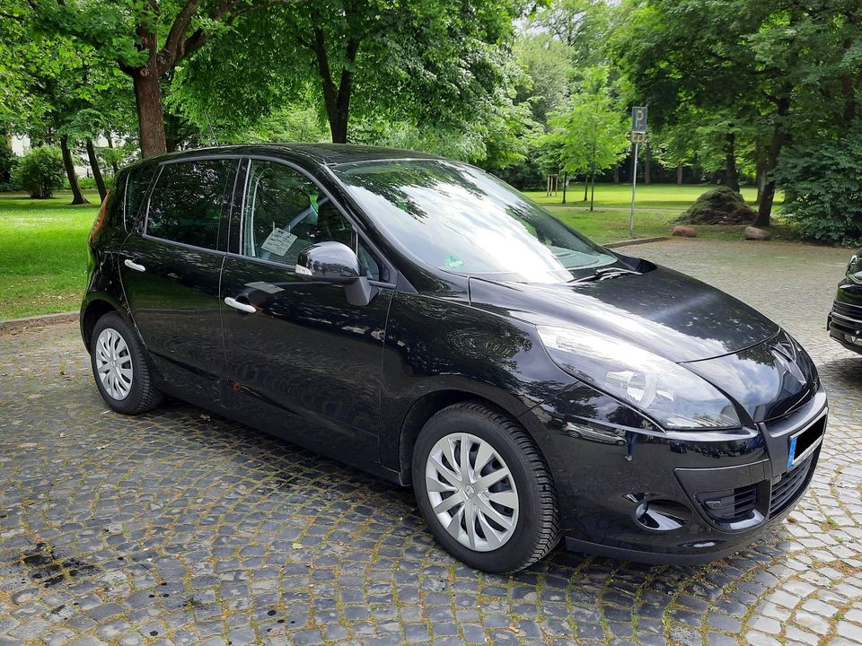 Renault Scenic 3 TCe 130 in Bünde