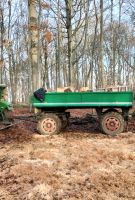 Anhänger auflaufgebremst Thüringen - Riethgen Vorschau