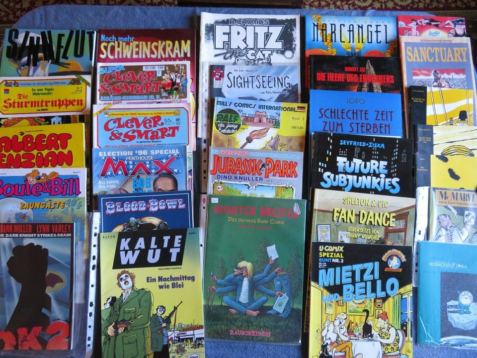 Comicbücher verschiedene Sorten in Homburg