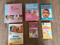 Set Mami Buch, Babys erstes Jahr, Fragen zur Geburt, Vornamen Schleswig-Holstein - Albersdorf Vorschau