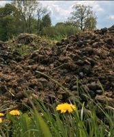 Pferdemist Nordwestmecklenburg - Landkreis - Gägelow Vorschau