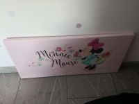 Minnie Mouse Leinwand Nürnberg (Mittelfr) - Aussenstadt-Sued Vorschau